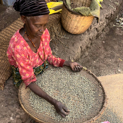 Kisoro Volcanic Organic Coffee