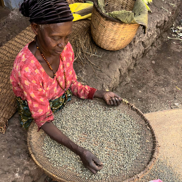Kisoro Volcanic Organic Coffee