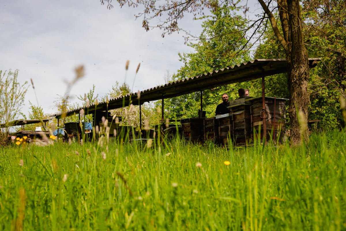 Slideshow Bild 1
