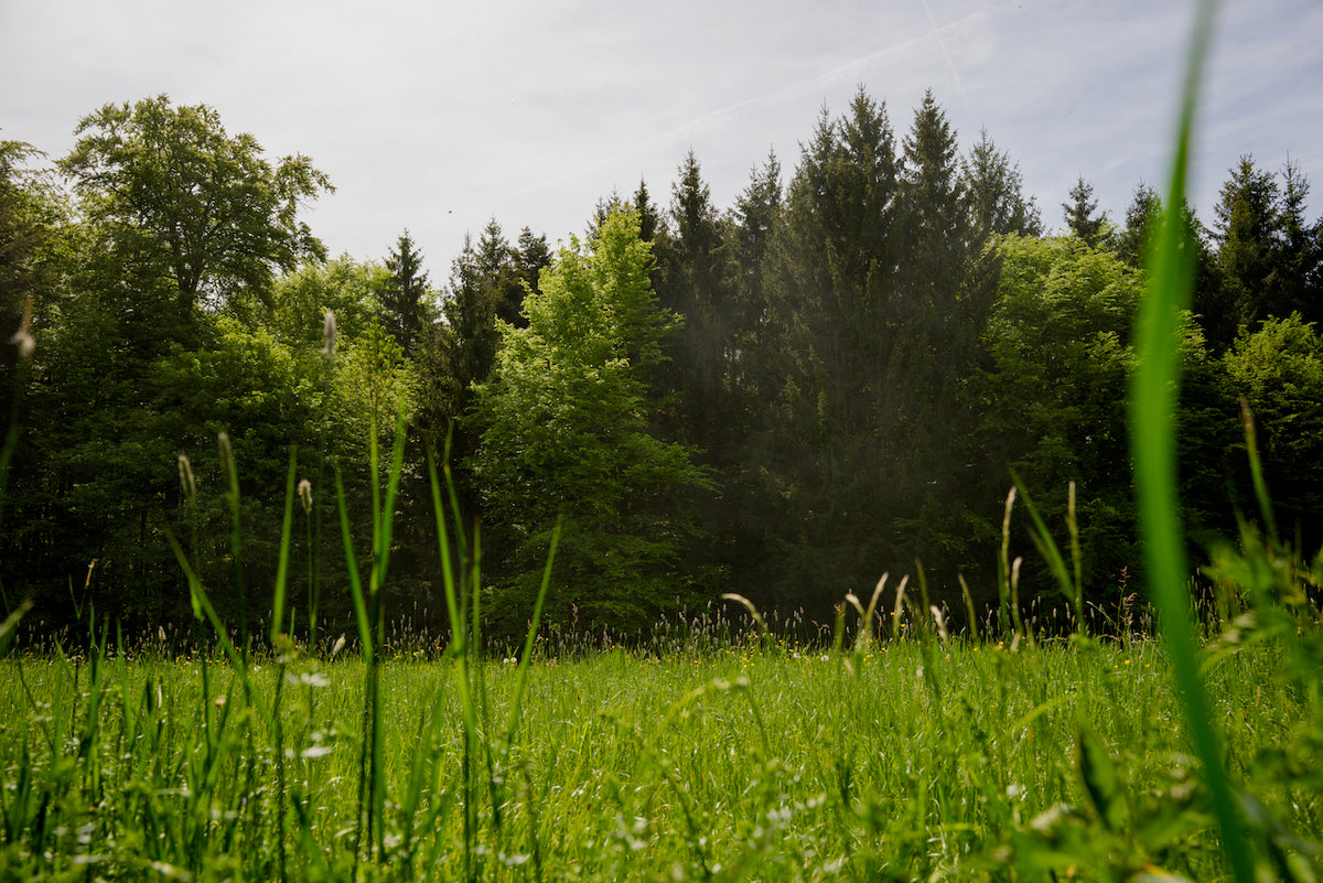 Slideshow Bild 3