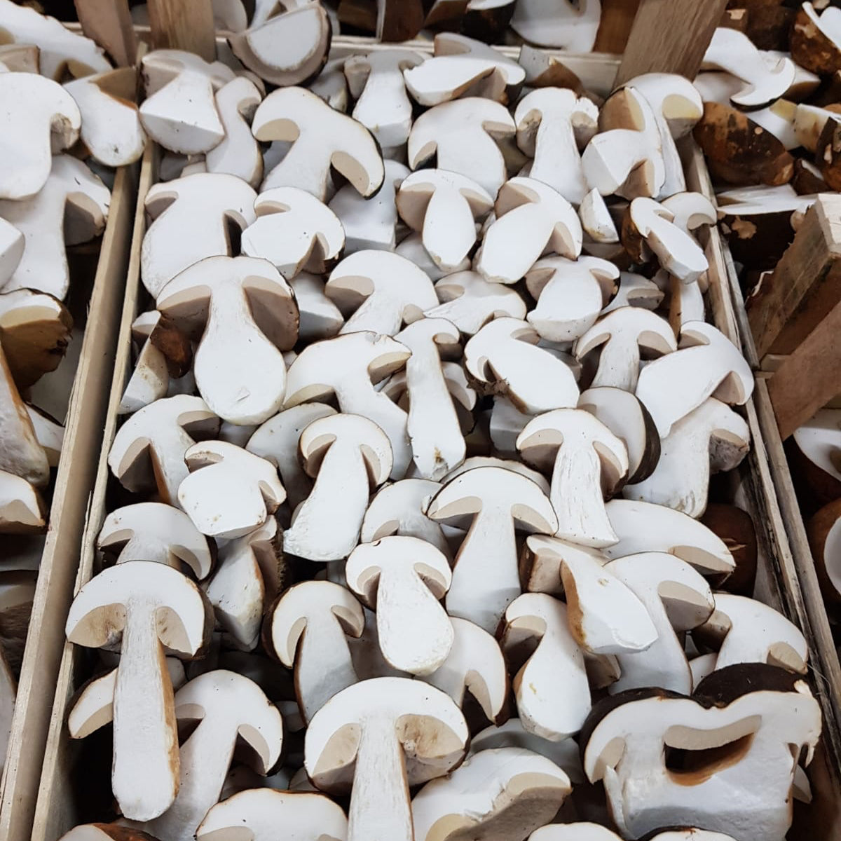 Getrocknete Steinpilze