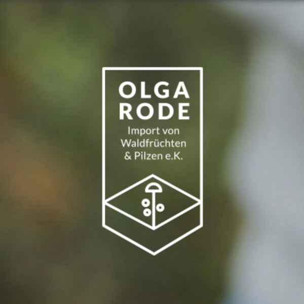 Olga Rode